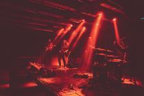Izzy And The Black Trees (1)