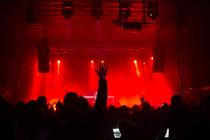 Redzed