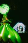 Areal_Sziget Festival 2025