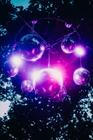 Areal_Sziget Festival 2025