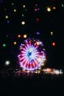 Areal_Sziget Festival 2025