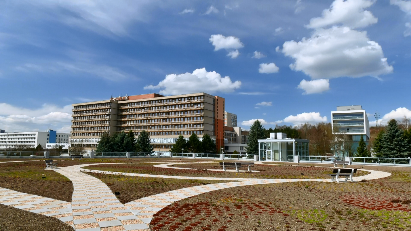 Plzeň: z parku na střechy