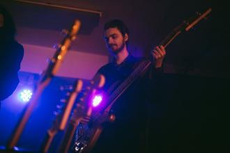 NOIX_1