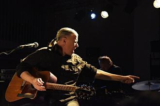 Swans (7)