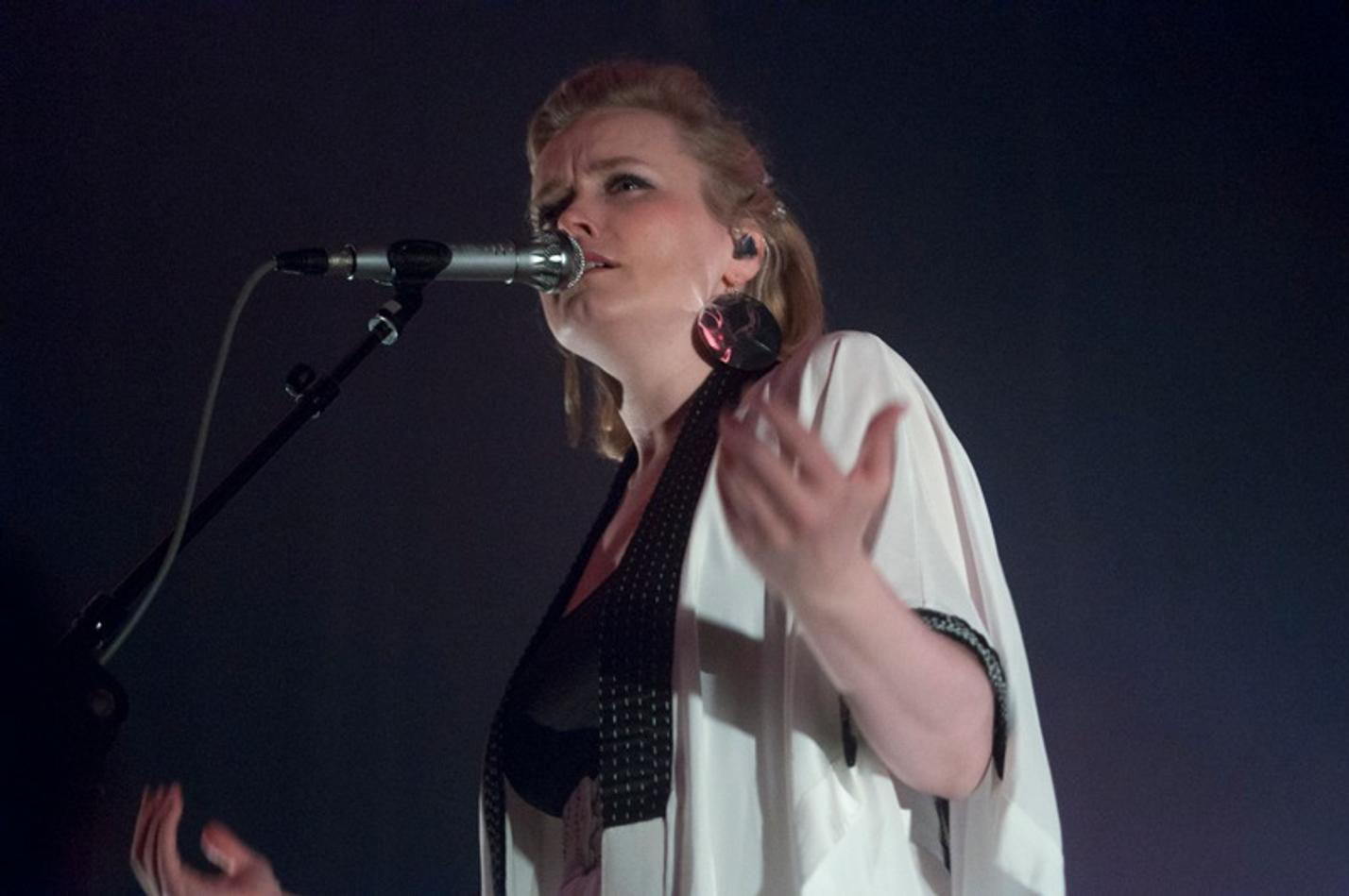 03_ane_brun