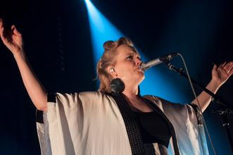 11_ane_brun