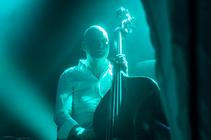 05_ane_brun
