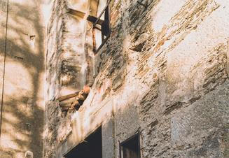 Člověk_Krve (10)
