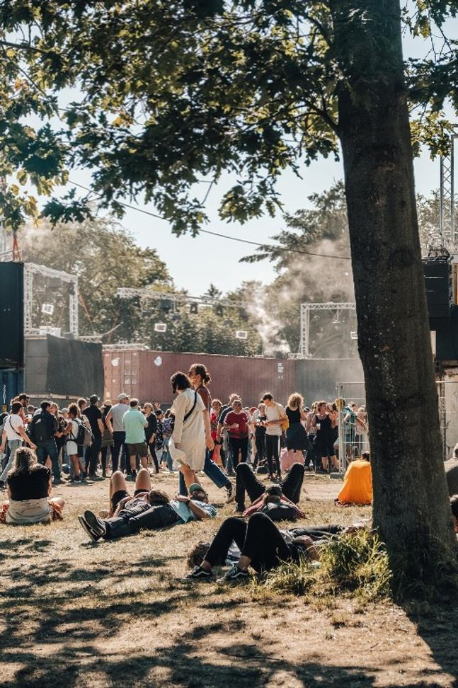 ROSKILDE3 (2)