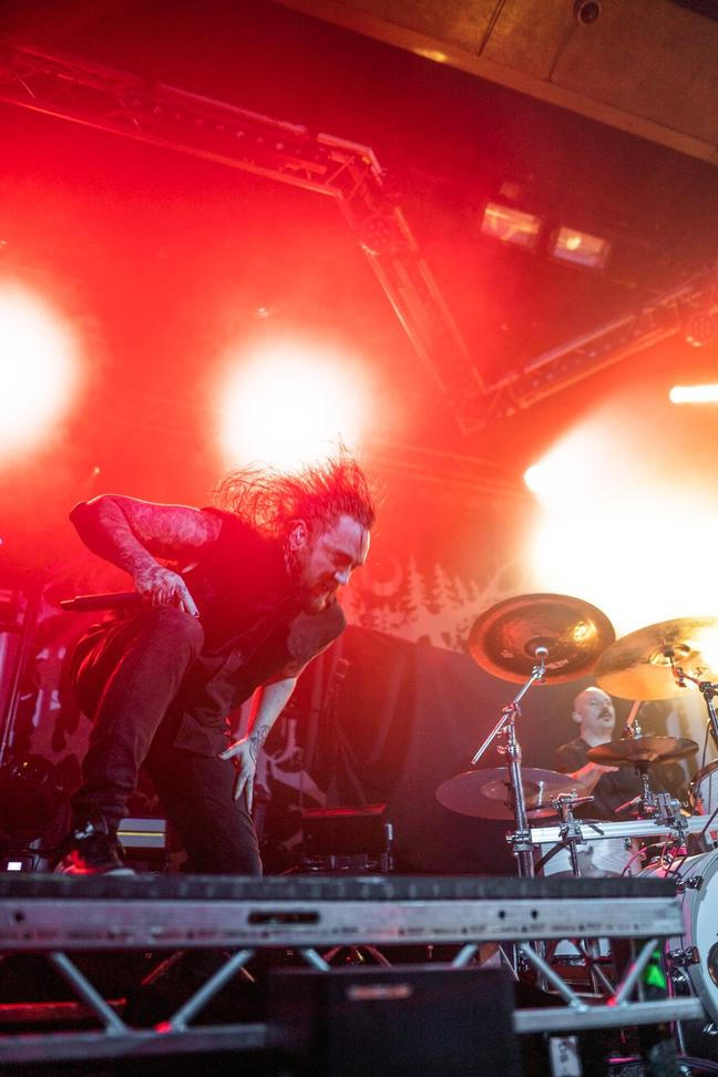 Ingested (2)