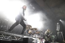 Ingested (1)