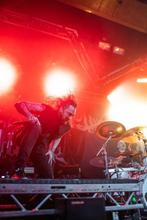 Ingested (2)