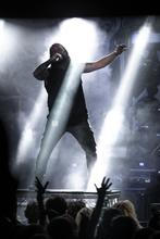 Ingested (13)