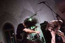 Johnny and the Rotten 1