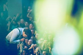The_Hives (12)