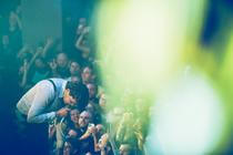 The_Hives (12)