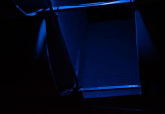03_cole_pulice_evil_medved