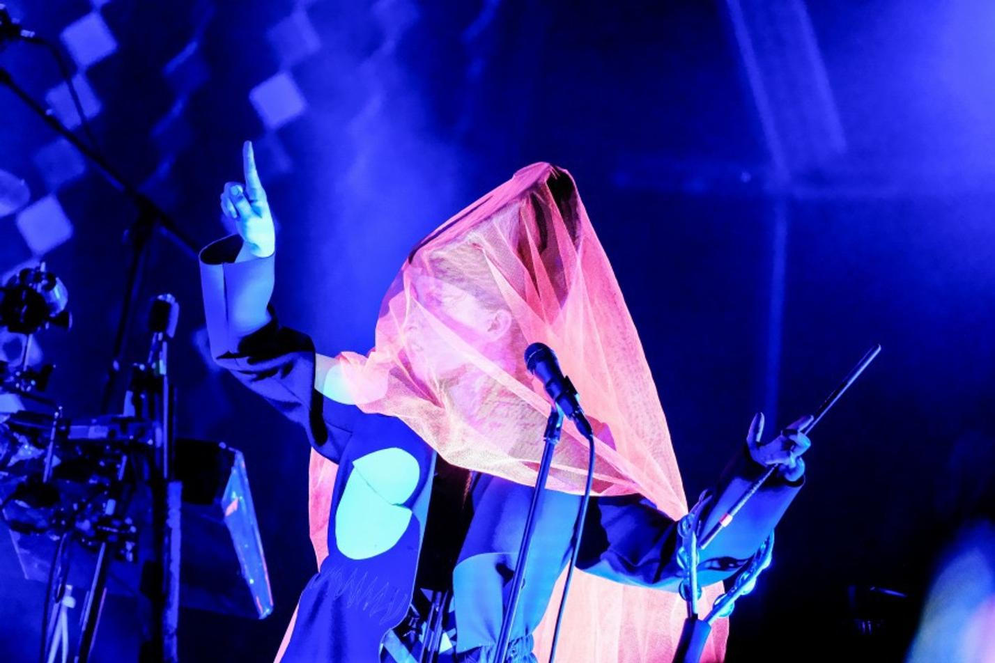 15_Little Dragon