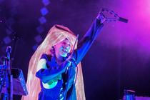 16_Little Dragon