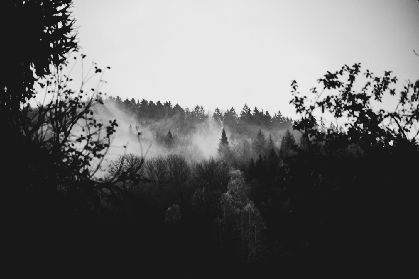 8_podzim