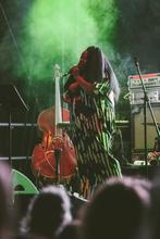 The Cinematic Orchestra