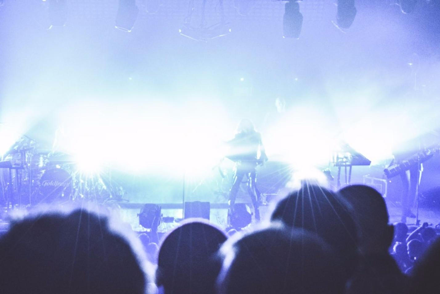Goldfrapp 8