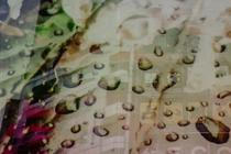 09_sun_glitters