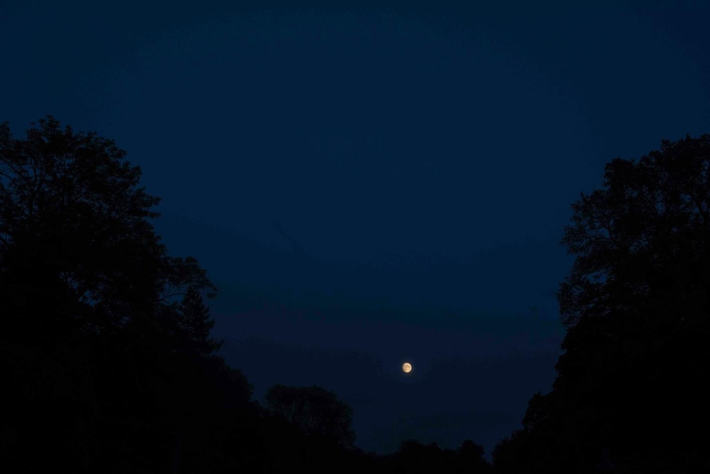 33_moody_moon_noize (1)