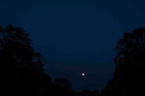 33_moody_moon_noize (1)