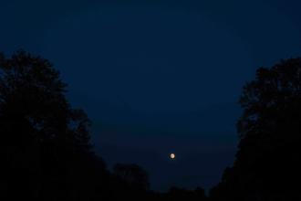 33_moody_moon_noize (1)