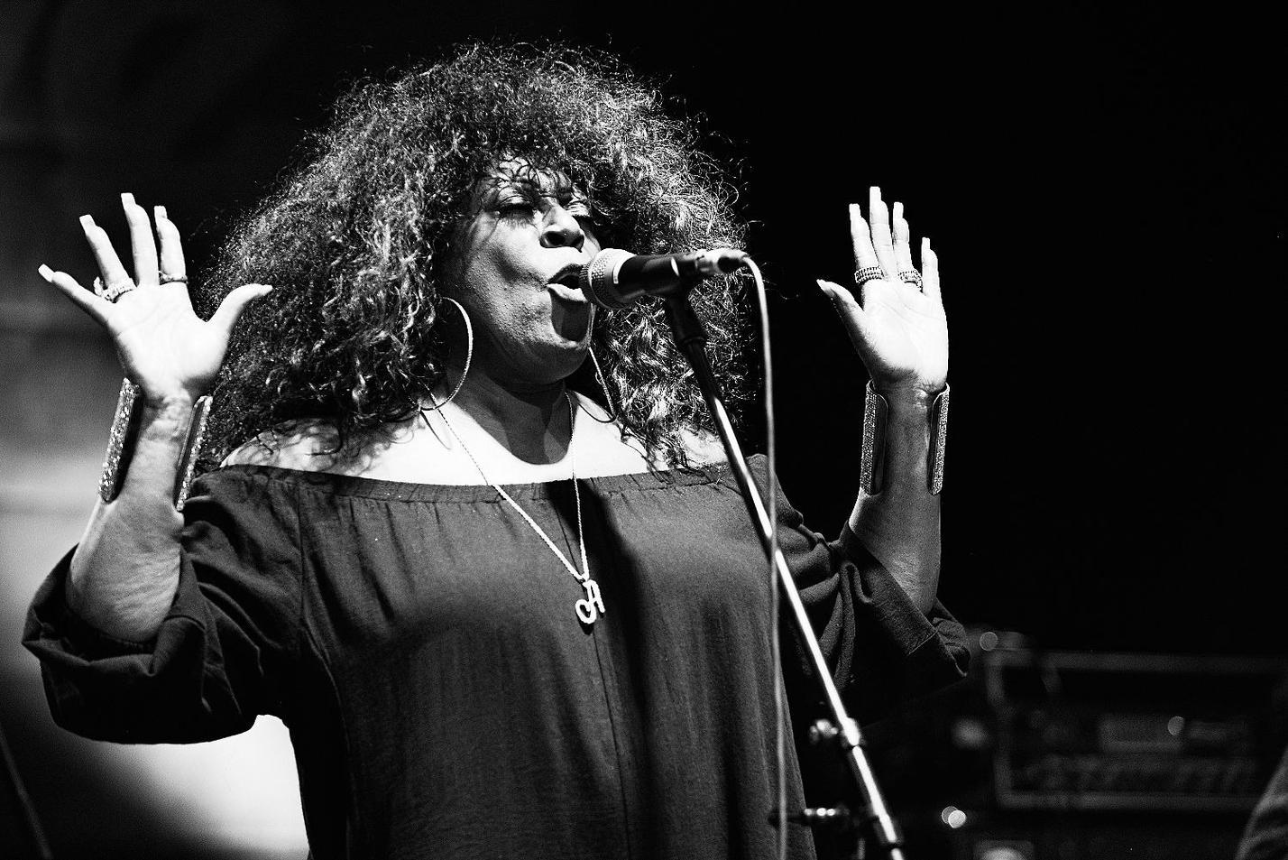 CHICAGO BLUES FESTIVAL FEAT (1)
