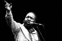 CHICAGO BLUES FESTIVAL FEAT