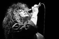 CHICAGO BLUES FESTIVAL FEAT (2)