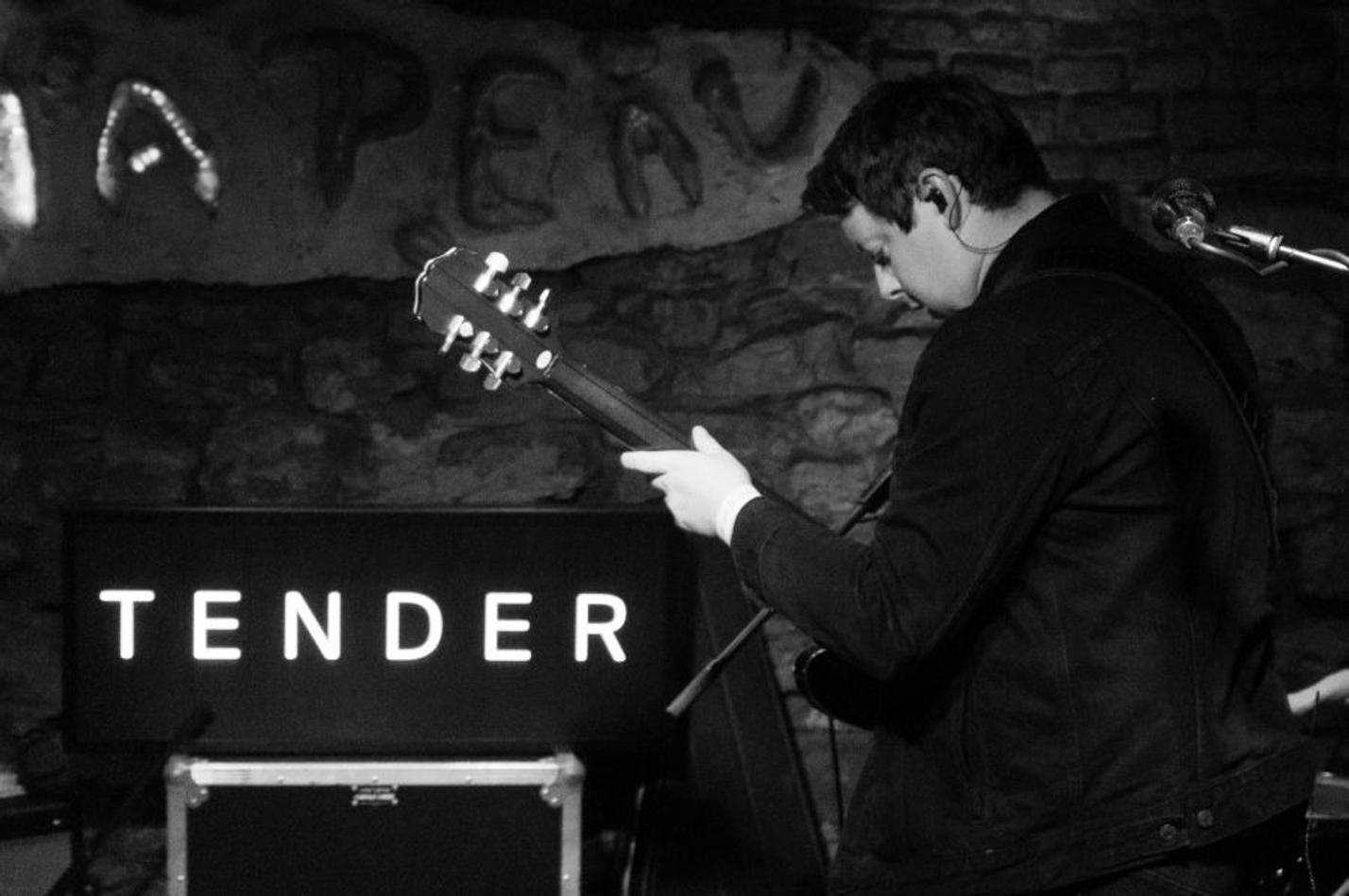 tender (4)