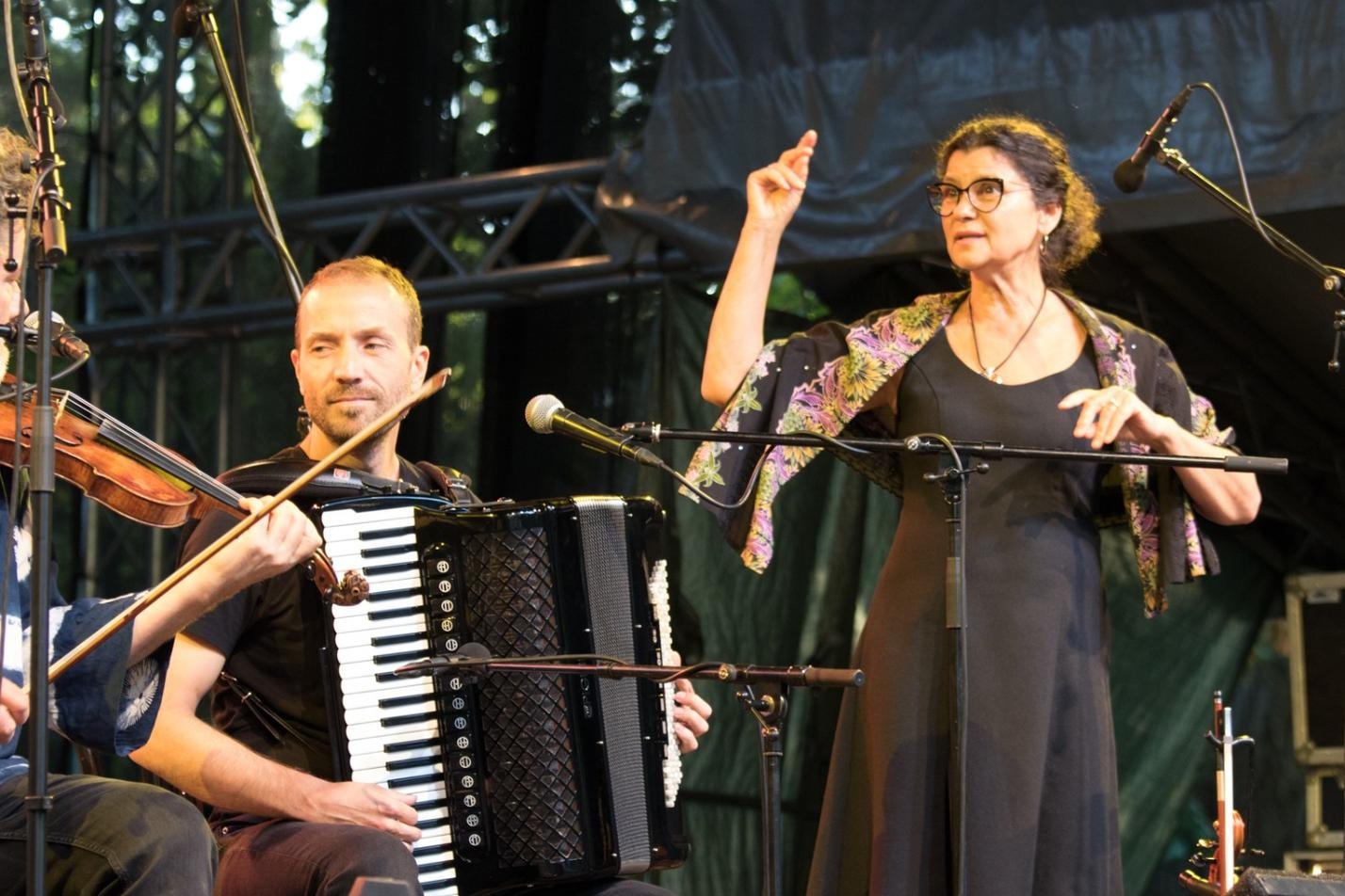 Iva Bittová