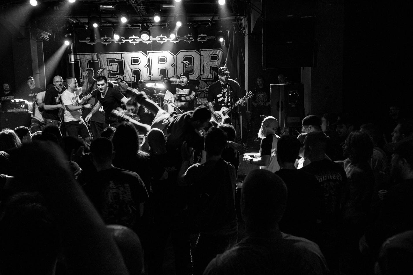 terror (5)