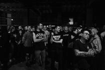 fans (1)