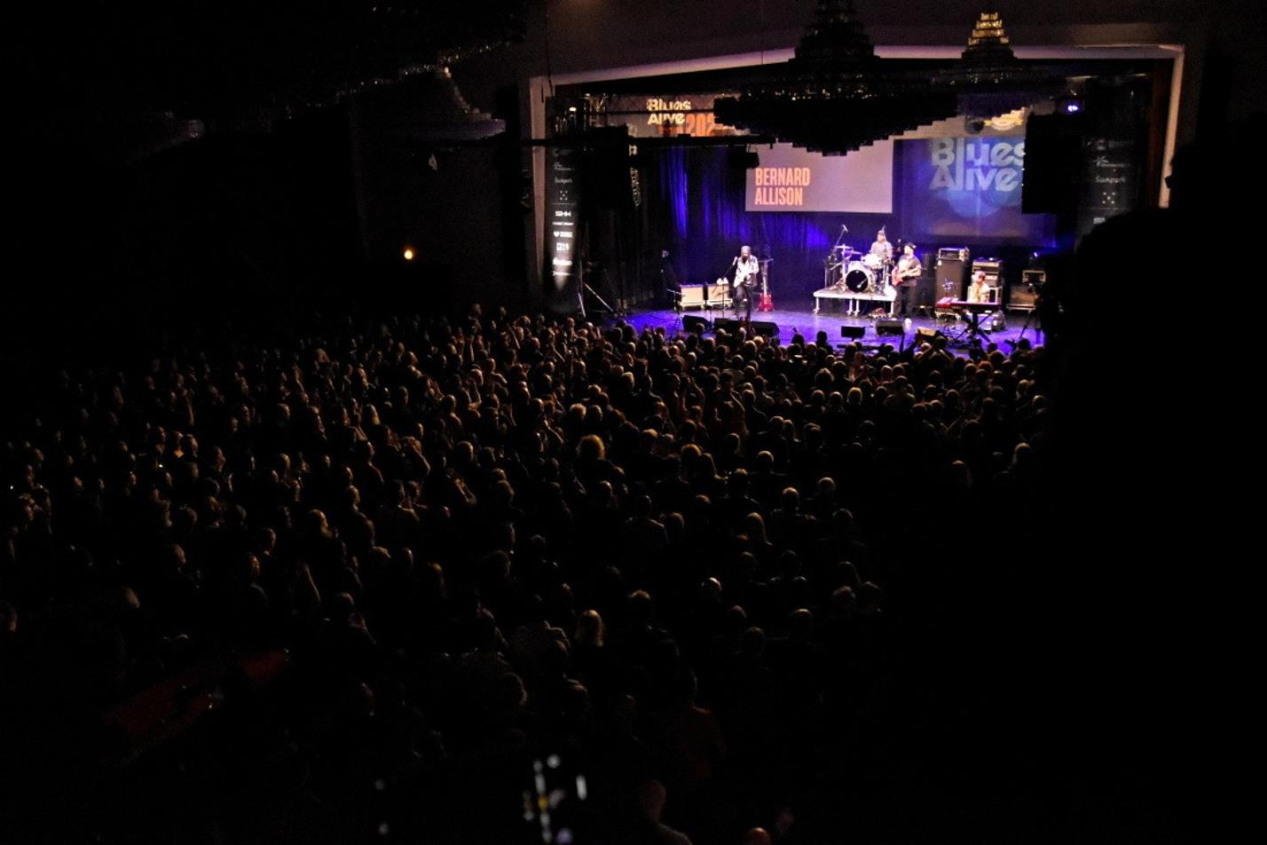 20-Blues Alive