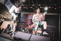 CANCER_BATS-1