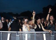 FANS_5 (2)