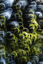 10_maro_sikora_cz