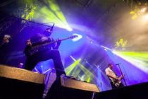 zebrahead-04