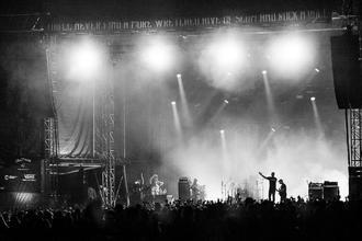 zebrahead-05