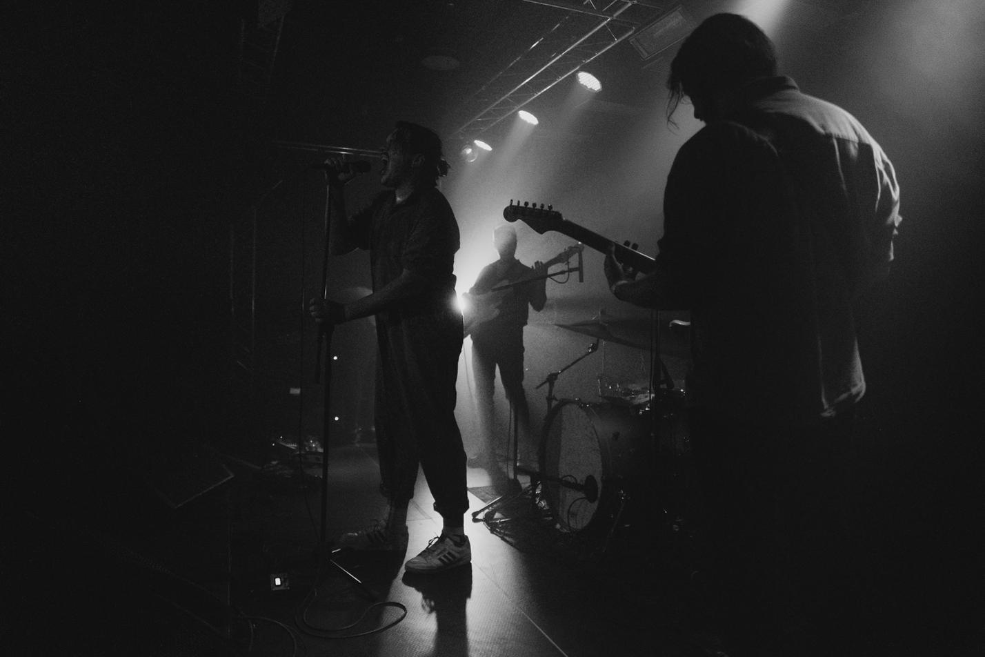 52 HERTZ WHALE(4)