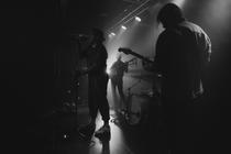 52 HERTZ WHALE(4)
