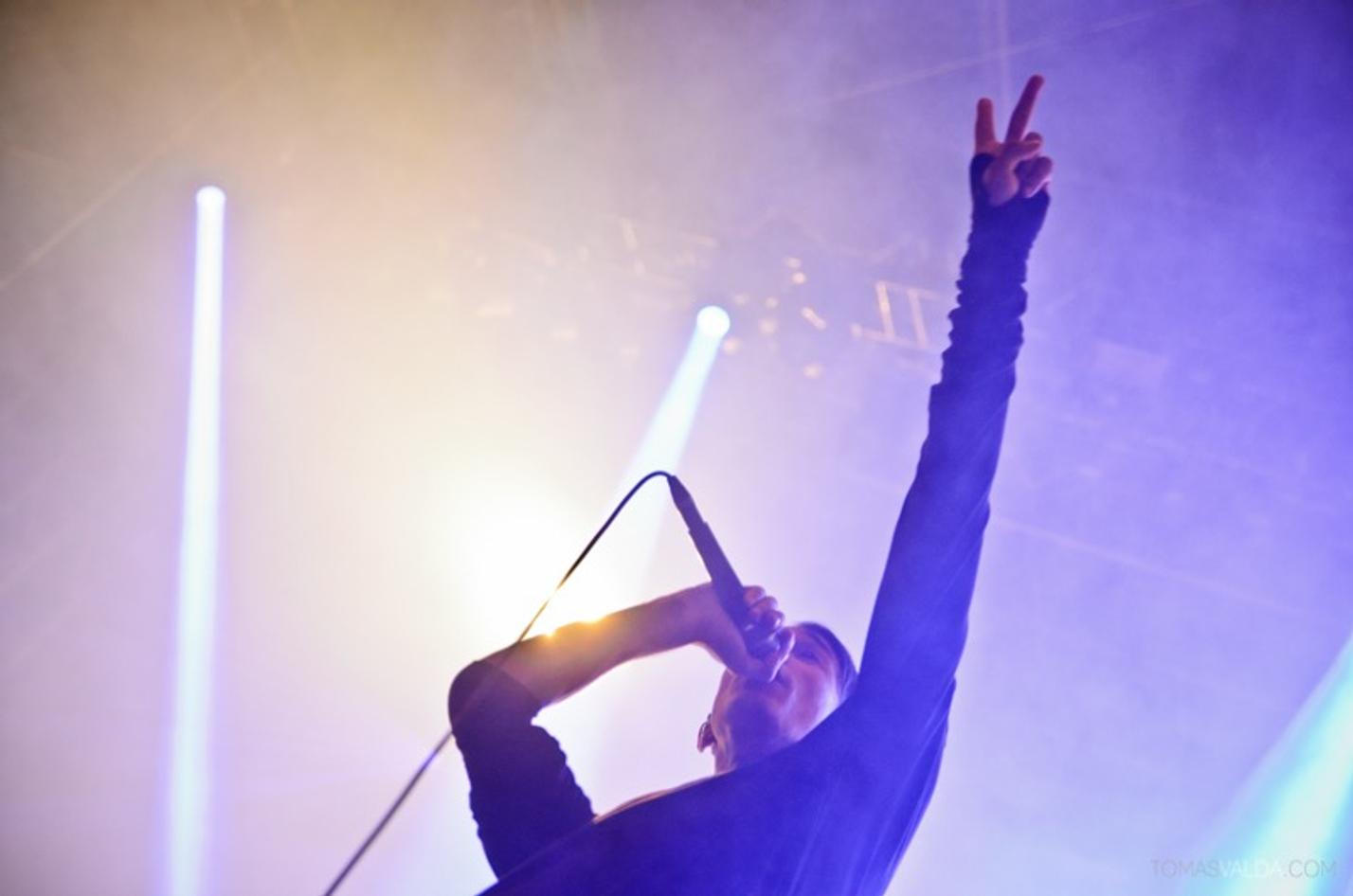 DSC_6071_modestep
