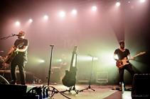DSC_6181_fink
