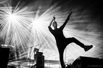 DSC_6005_modestep