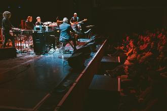 Swans