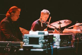Swans